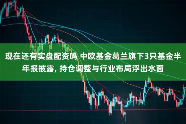 现在还有实盘配资吗 中欧基金葛兰旗下3只基金半年报披露, 持仓调整与行业布局浮出水面