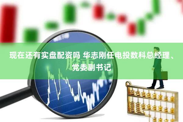 现在还有实盘配资吗 华志刚任电投数科总经理、党委副书记